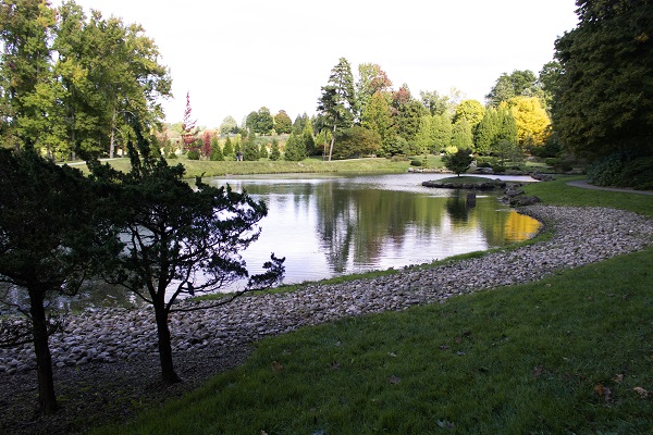 Stone-lined pond shore on a sunny day